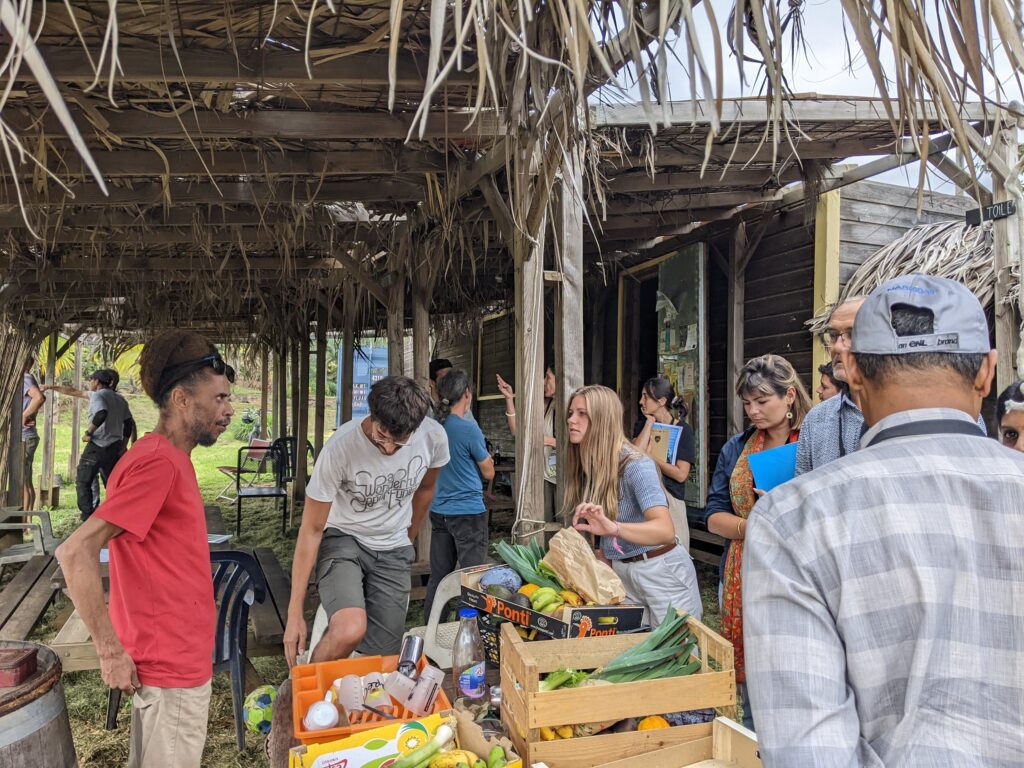 Projets APTAE et ITALIQ (Ocean Indien) - Certification Participative